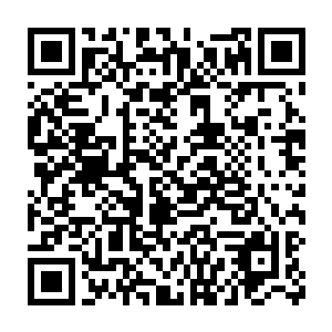 在加上修真大世界的原住民在修真大世界生存了不知道多少万载的岁月二维码生成