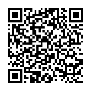 在南荒将被南荒土着围困的上古许家后裔带回莲花峰二维码生成