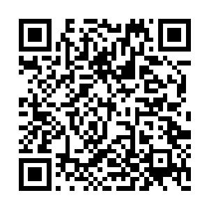 在原先罗神的位置忽然爆出一声不像是人的狂吼二维码生成