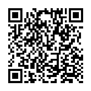 在后是木武现他们遇水就会失去所有的行动能力二维码生成