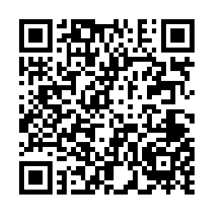 在后面躺在草地上的杨烈哪受过这样的侮辱般评价二维码生成