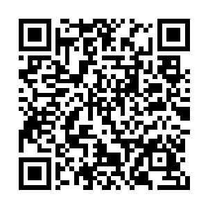 在听到几位探病的贵妇夸顾歆聪明伶慧又孝顺时二维码生成