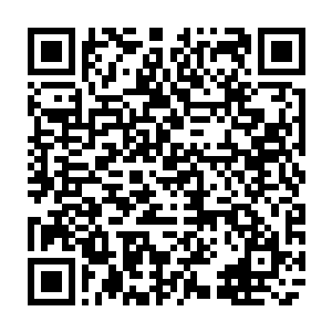 在周围的人看着自己的家主诸葛正明在跟着苏凡的战斗之中竟然处在上风二维码生成