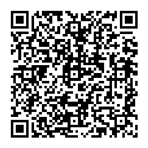 在固定的地点又遇到了达旺……从而从达旺的口中得到了关于惩罚副本存在玩家模式漏洞的讯息……二维码生成