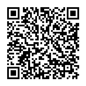在地仙级别强者眼中恐怖无比的能量风暴对于仙王强者来说却是不堪一击二维码生成