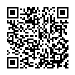 在场上与修罗邪神激斗着的叶凡猛然羊听到这一嗓子二维码生成