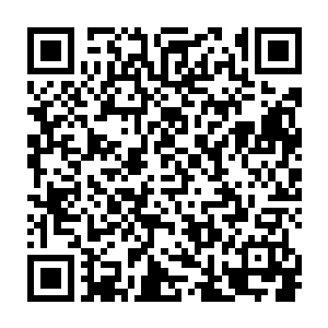 在场众人也纷纷感觉到自己体内的血液仿佛是受到了某种力量的影响一样二维码生成