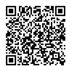 在场坐着的一百多位文学鉴评团的成员翻资料翻得满头大汗都跟不上二维码生成