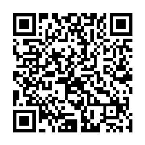 在场武者看到血杀原原主用万鬼寂灭的时候就已经要逃跑二维码生成