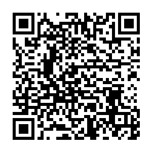 在场的中国电影文学学会会长王兴东就一再强调编剧维权的重要性二维码生成