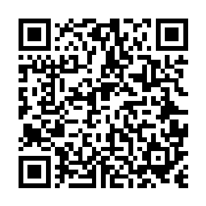 在场的很多强者全都被眼前所发生的一切给弄得愣住了二维码生成