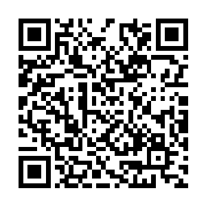 在城内和城外的那些尸体堆中撕扯着尸体上的血肉二维码生成