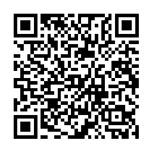 在大家看来现在这一副尊容的小李子实在是太难接受了二维码生成