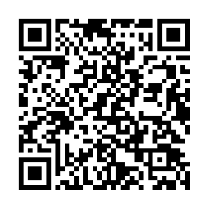 在大道本源耗尽之前你还没有融合圣光塔器灵所有力量的话二维码生成