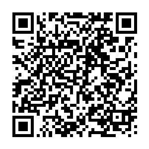 在天空中的仙人们面对战斗技巧和配合度越来越厉害的宠物们以及战斗力爆表二维码生成