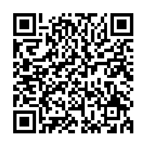 在她的周围是无数由域外天魔精魄形成的一个巨大的漩涡盘旋着二维码生成