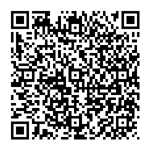 在她的掌心中若是仔细分辨能看见一小团和她本身血红薄雾区别很大的几乎是白色的极淡红雾被她捏碎二维码生成