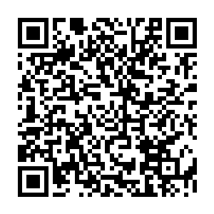 在如此庞大的混沌之力的冲击之下龙傲天的经脉也是不禁的感觉到一阵刺痛二维码生成