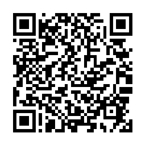 在威夷次大陆和西方大陆的很多地方的很多豪门望族之中二维码生成