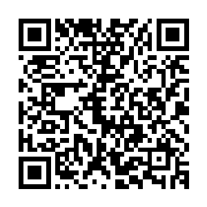 在孙倩倩表现出这种媚态的时候外面的那些人倒是没有什么表现二维码生成