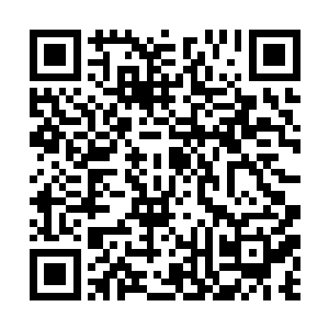 在季五睡着的时候偷吻的……咳咳……可是那不算啊二维码生成