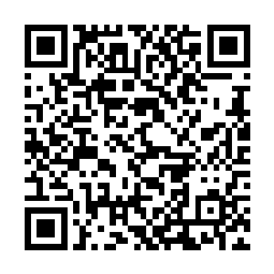 在学校里上课对于萧航而言简直就是一场煎熬和折磨二维码生成