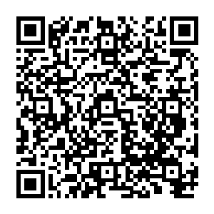 在它们找人之前使用控术的人都会先将被找的人身上所佩戴过的东西让那些蝴蝶闻一下二维码生成