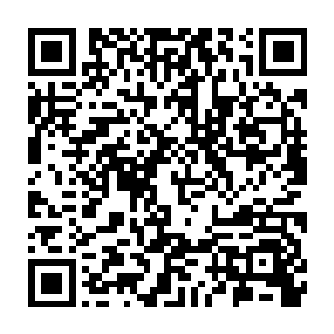 在安吉拉和骆凉璧的婚礼上碰运气看笛家会不会有重要人物去参加婚礼二维码生成