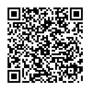 在家门口先打通电话以自己不敢回家的借口策反了自己的母亲分散他们的力量二维码生成