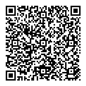 在寸土寸金的京城　所有人恨不能把房子都给建到天上去　但是这里竟然有至少半个足球场大的绿地　可见这房子的主人财力之雄厚二维码生成