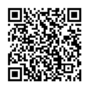 在对话沟通中佰达公司也了解到这些药商们之所以这样有信心二维码生成