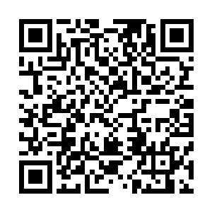 在布朗城堡中抢先获得任务线索物品阵营自动获得优先线索二维码生成