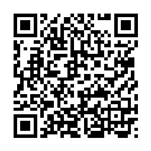 在心中琢磨着今天要为王子提供何等样残忍的酷刑二维码生成
