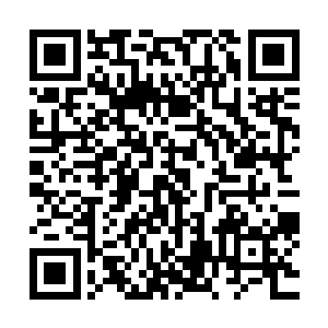 在我和儿子的眼前出现了一幕幕让我看了之后震惊不已的景象二维码生成