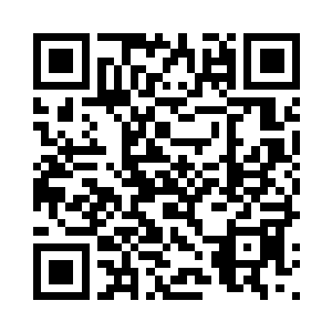在我和镇域界主们传音交流的时候二维码生成