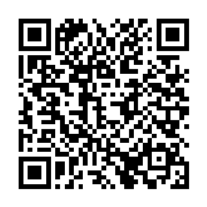 在我第一晚上上夜班时候曾经见过白伶儿并曾出口提醒二维码生成