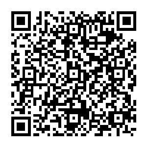 在我胡思乱想的几秒钟内翼天虎咆哮着飞到我身前两只前爪闪烁着阵阵寒光狰狞地对我劈来二维码生成