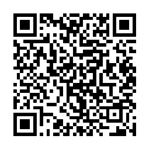 在打谷场上面值夜的几个人全部都是经验丰富的刀客二维码生成