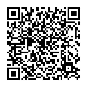 在拜仁慕尼黑球门后方区域的球迷们全都从自己的座位上站了起来二维码生成