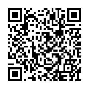 在换了一个位置之后便重新生了一堆火继续烤肉二维码生成