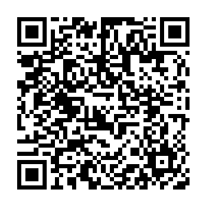 在接下来的比赛里给全世界的观众上演了一幕无限空q炸弹人的荒唐画面二维码生成