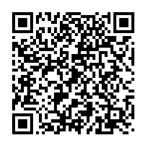 在接连读取了两个侍卫和一个十四级的侍卫队长最近两个月的记忆之后二维码生成