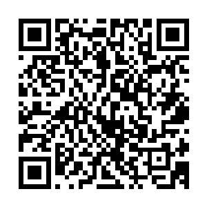 在提到简约在红日的背景下飞来的时候这些眼神里的一抹欣赏二维码生成