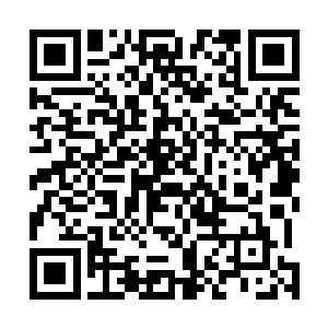 在提炼以后至少也能够让一位顶尖域主晋升到界主的层次二维码生成