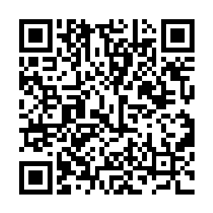 在数据库中可是有很多关于各种星际中达官贵人的变态记录二维码生成