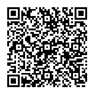 在整个外门新进弟子进入到第二轮当中的二千六百二十四人当中还占不上百分之一二维码生成