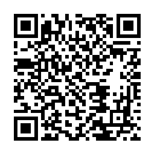 在整个寰宇天界可是数亿年都不一定能够出现的人物二维码生成