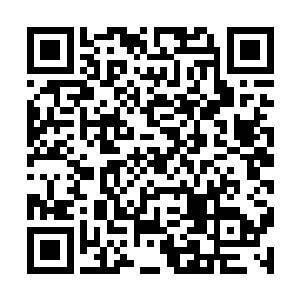 在最新版本中了十几款100%拟真的帝国星舰和晶铠二维码生成