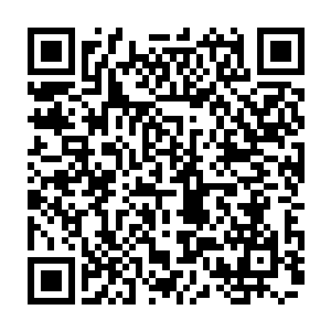 在月华之力加持之下的幽冥狼王可以说比之前的时候不知道恐怖了多少倍二维码生成