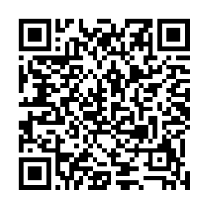 在望塔上的秘社武装人员却开始通过无线信号发出呼叫了二维码生成